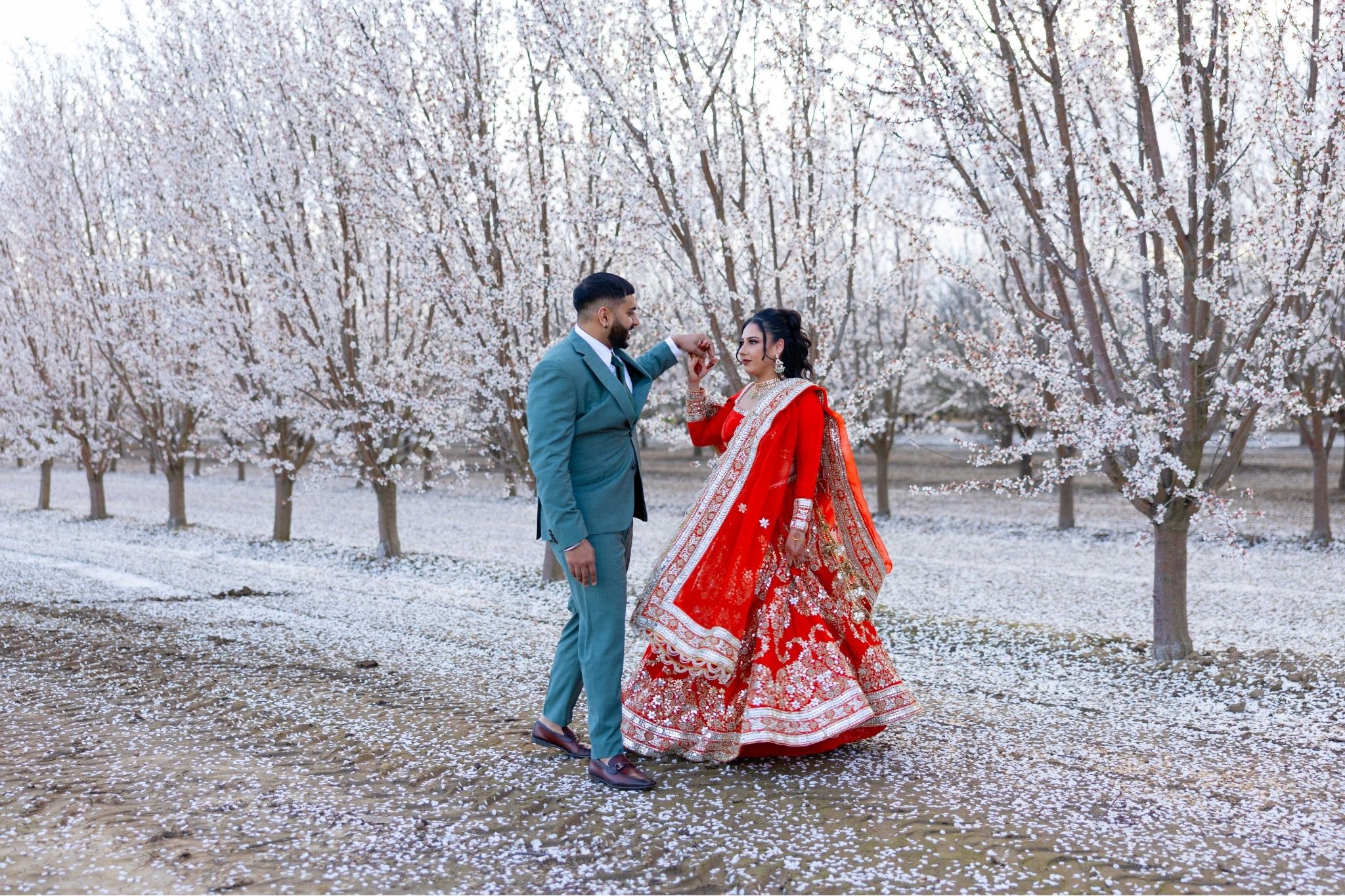 Wedding Celebration